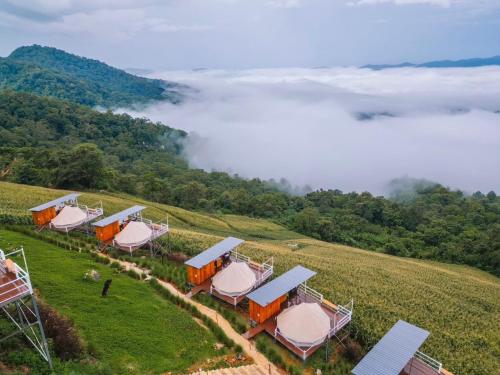 a row of tents on a hill with fog in a field at ชิวชิวแคมป์ ภูชี้ฟ้า in Ban Huai Han