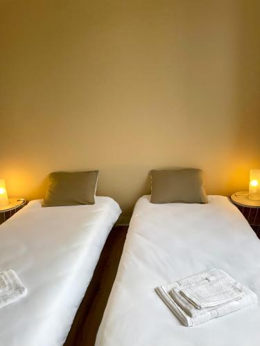 deux lits côte à côte dans une pièce dans l'établissement Sologne évasion, à La Ferté-Saint-Aubin