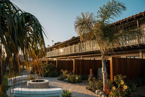 a courtyard with a palm tree and a building at El Caminante Bar & Bungalows in Dana Point