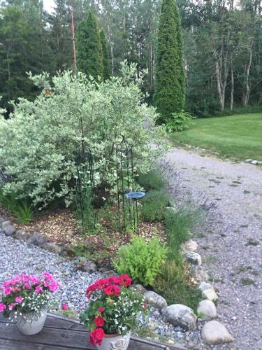 a garden with flowers and plants on a gravel road at Hasselbacken in Rejmyre