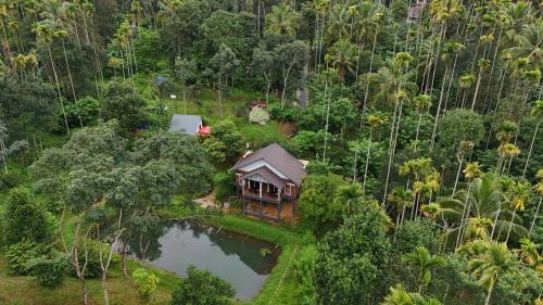 an aerial view of a house in the middle of a forest at Casta Wild Resort in Batheri