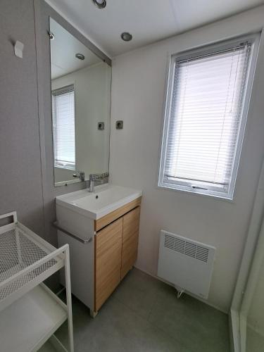 une salle de bain avec un lavabo et un miroir dans l'établissement Harmonie, à Lit-et-Mixe