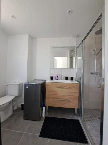 une salle de bain avec une douche, un lavabo et des toilettes dans l'établissement Cosy, à Lit-et-Mixe