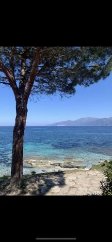 Photo de la galerie de l'établissement Appartement T3 Saint Florent bord de plage vue mer piscine privée, à Niort