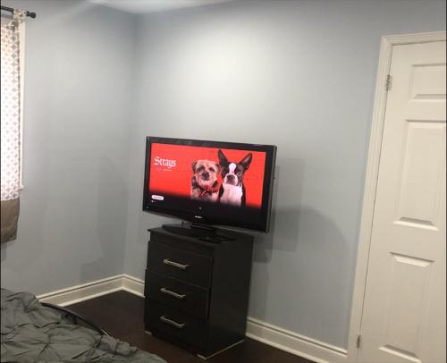 a tv sitting on a dresser with a dog on it at SHAY 2ND FLOOR-Holiday Home in Pickering