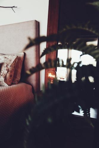 a plant sitting next to a couch with a candle at Pura - Home in Nature in Oliveira do Hospital