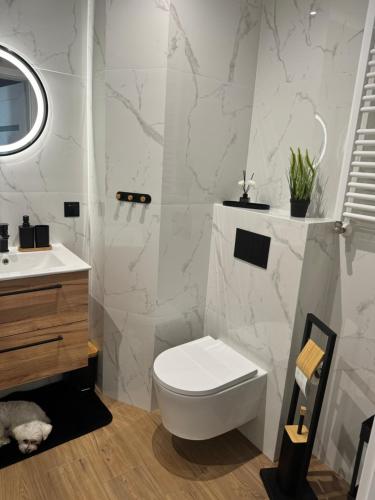 Koupelna v ubytování Apartamenty RAJ przy Onkologii 2