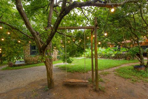 Κήπος έξω από το Phong Sơn Retreat - Homestay Hữu Lũng, Lạng Sơn
