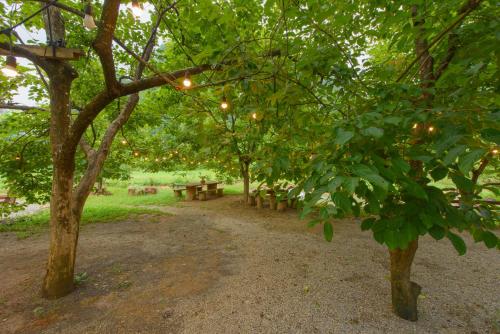 Κήπος έξω από το Phong Sơn Retreat - Homestay Hữu Lũng, Lạng Sơn