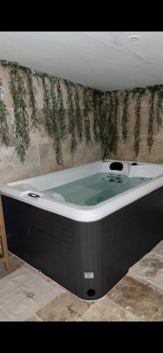 Cette chambre comprend : dans l'établissement La suite iris, à Nîmes