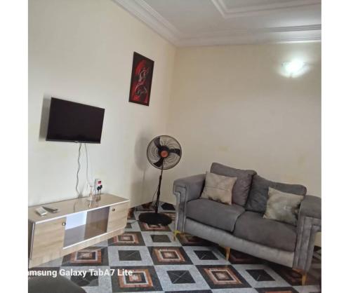a living room with a couch and a tv at YP-Made Luxurious 1 & 2 Bedroom Apartments in Eluju