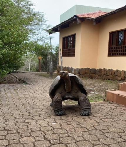 Galería fotográfica de La Casa D Juan en Puerto Baquerizo Moreno
