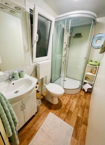 a bathroom with a shower and a toilet and a sink at Mobile home SIMS in Biograd na Moru