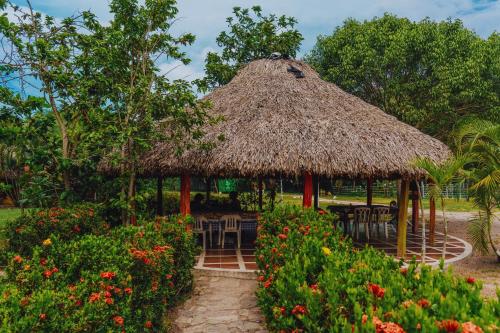 Jardín al aire libre en Jaba Jan Hostal