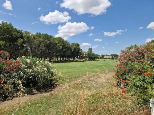 un champ planté d'arbres, d'herbes et de quelques buissons dans l'établissement Superbe Villa Golf Vedène avec Piscine, à Vedène