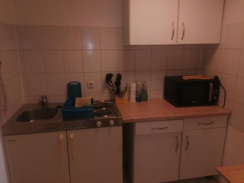 a kitchen with a sink and a counter top at Ferienwohnung Dolecki Rippach in Lützen