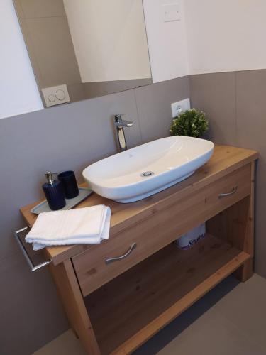a bathroom with a sink and a mirror at Casa Agricola Amicizia in Poiana Maggiore
