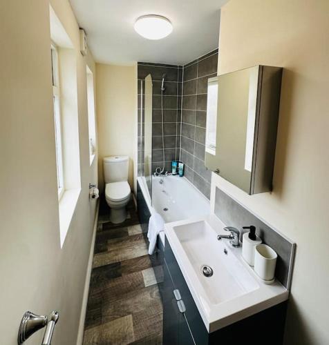 a bathroom with a sink and a toilet at Airy central two-bed Suite in Bristol