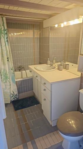 une salle de bain avec un lavabo et des toilettes dans l'établissement Studio Cosy au Coeur de Narbonne, à Narbonne