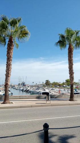 two palm trees next to a street with a marina at Cozy studio with mountain view - 35 m² in La Ràpita in Sant Carles de la Ràpita