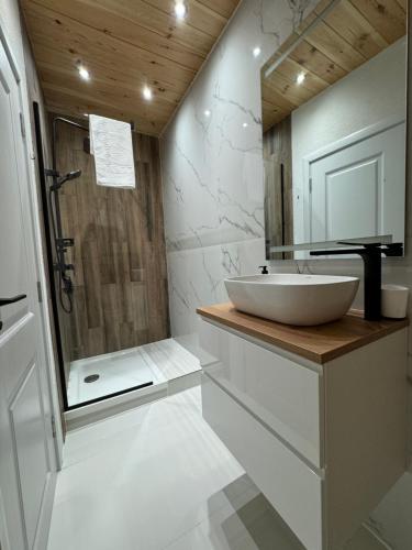 a bathroom with a sink and a shower at A-Frame Belvedere Colibița in Colibiţa