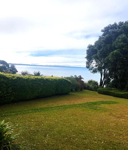 a grassy yard with bushes and the ocean in the background at Patons Rock Cutie in Rangihaeata