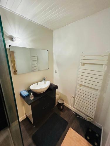 une salle de bain avec un lavabo et un miroir dans l'établissement Appartement Duplex - 2 Chambres - Cosy & Spacieux-, à Bordeaux