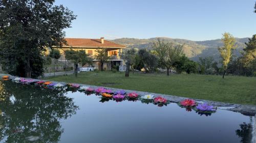 a reflection of a house with flowers in a pond at Casa Loureiro de Baixo in Loureiro