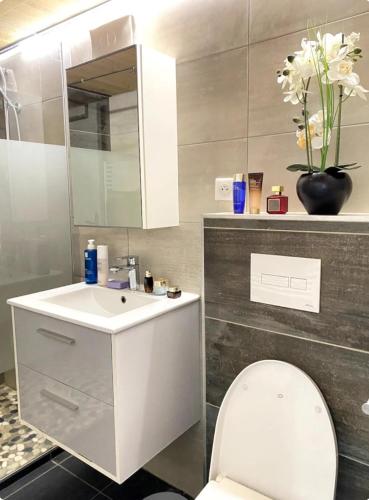 une salle de bain avec un lavabo blanc et des toilettes dans l'établissement Hypercenter Lyon, à Fourvière