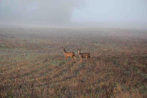 Photo de la galerie de l'établissement Toulousaine entre Toulouse et le Tarn, à Gragnague