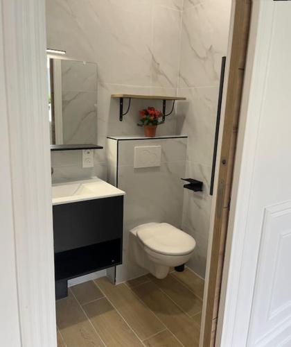 Un baño con inodoro, lavabo y espejo. en Appartement avec jardin C, en Nogent-sur-Marne