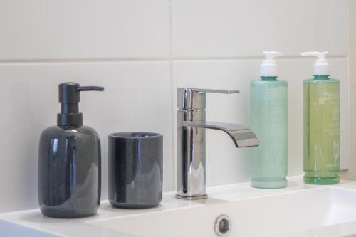 - un lavabo dans la salle de bains avec 2 bouteilles et un distributeur de savon dans l'établissement ORLEANS CENTRE HISTORIQUE - Charmant T2 - L'EVASION ORLEANAISE, à Orléans