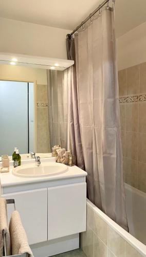 une salle de bain avec un lavabo et un rideau de douche dans l'établissement La Belle Etape, à Noisy-le-Grand