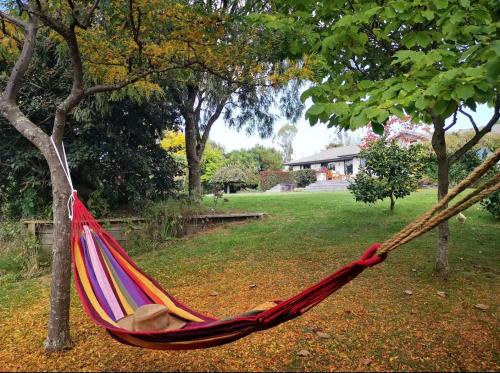 a hammock hanging from a tree in a yard at Acacia Bay Lodge- Private Manor with Lake and Garden views in Taupo