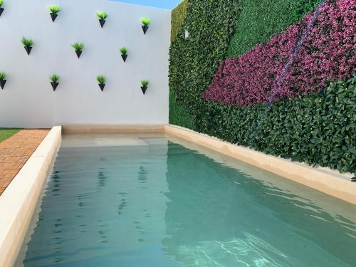 a pool of water in front of a wall with flowers at Imox House in Conkal