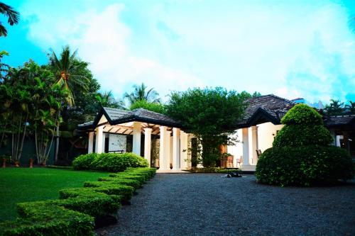 a house with bushes and a walkway in front of it at Camellia Dwelling in Hikkaduwa