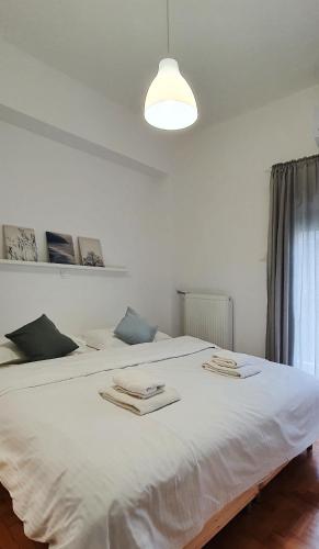 Minimalist Newly Renovated 1Bd near the center
