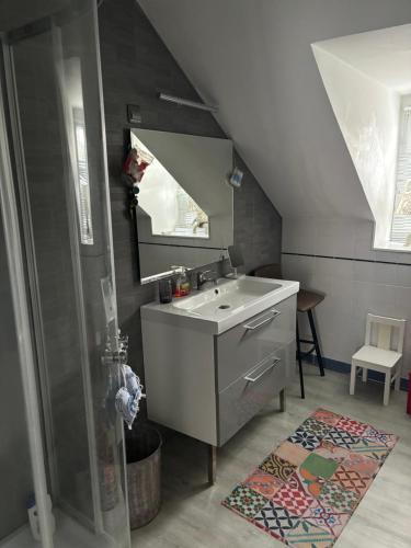 a bathroom with a sink and a mirror at Nid urbain chez Sophie in Bagnères-de-Bigorre