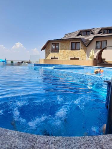 a swimming pool with a dog in the water at Milmari L29 in Kopaonik