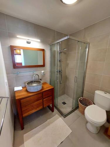 a bathroom with a sink and a shower and a toilet at Kay Ti Mabouya in Sainte-Luce