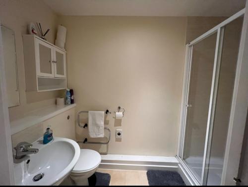 a bathroom with a shower and a toilet and a sink at Charming 2-Bedrooms City Centre Apartment-No Party in Aberdeen