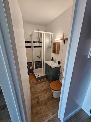 une petite salle de bain avec toilettes et lavabo dans l'établissement Studio Voltaire - Centre ville, à Saint-Brieuc