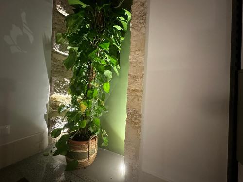 Zahir Suite Apartment photo 71