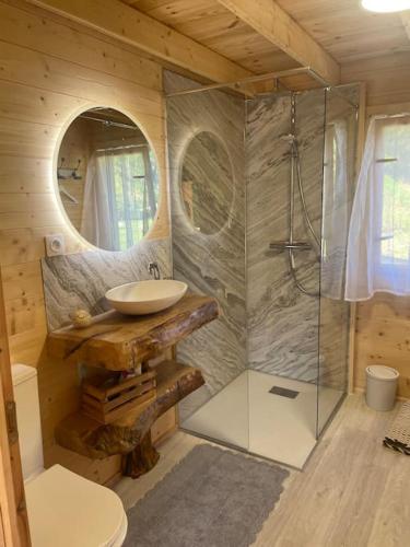 La salle de bains est pourvue d'un lavabo et d'une douche dans une cabine. dans l'établissement Charmant chalet de campagne, à Grandrupt