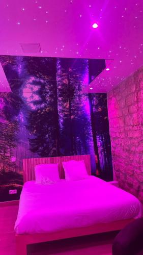 a bedroom with a bed with purple lighting at Suite Yao avec jacuzzi Montataire YaoSpa60 in Thiverny