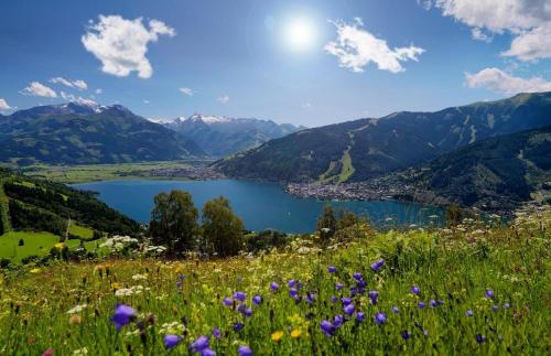 CityAppartement by Sporthotel Alpin - SelfCheckin