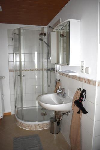 ein Badezimmer mit Dusche, Waschbecken und Spiegel in der Unterkunft Ilonas Ferienwohnung in Sankt Aldegund