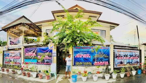 a man standing in front of a building with potted plants at lion dive guest house in Basdiot