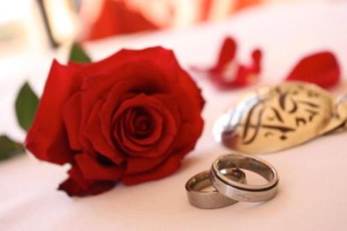 a red rose and two wedding rings on a table at Rive Du Lac in Lalla Takerkoust