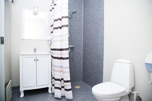 a bathroom with a toilet and a shower curtain at Danhostel Kerteminde in Kerteminde